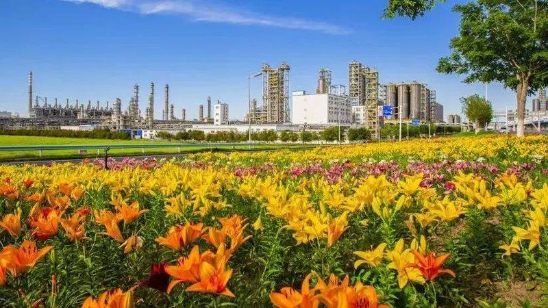 精细化工产品在现代涂料中的应用解析**