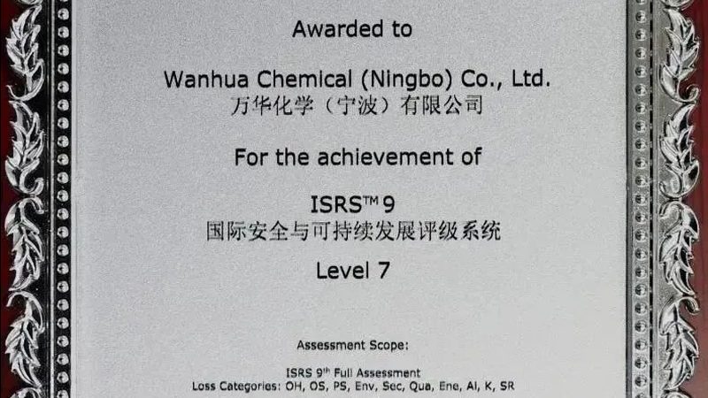 涂料树脂加盟，揭秘广东市场的选品策略